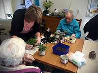 Auckland Aged Care - Planting